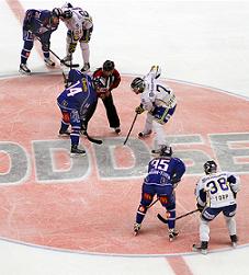 hockey faceoff faceoff in hockey